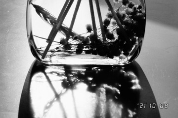 DF2D7959-857D-4D59-AC08-A851A87794A1/L0/001