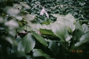 F3D62775-E2C2-40D8-A78B-1EA6704221DA/L0/001
