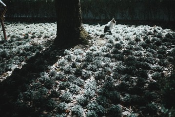 001