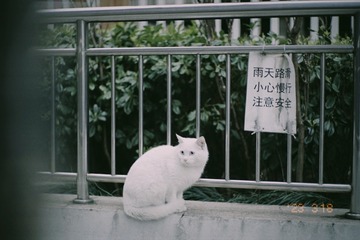 A3597408-08F5-4797-8018-89CEF003D681/L0/001