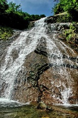 080817浙西1.jpg