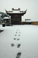 080126无锡阳山1.jpg
