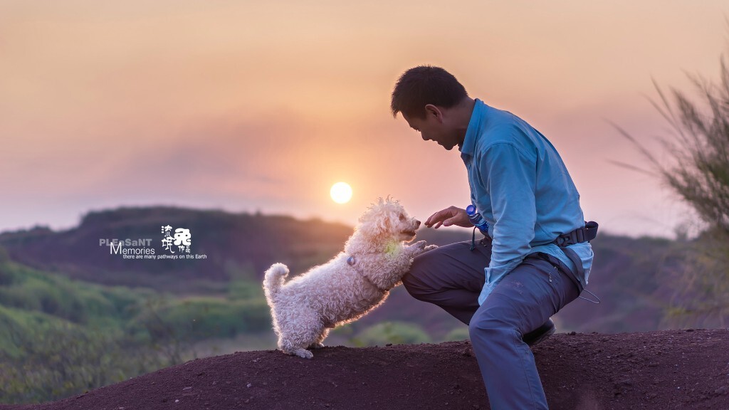 夕阳下的温馨