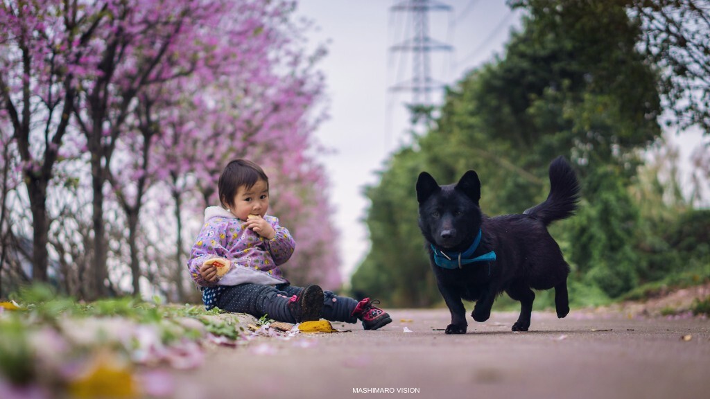 小时候父爱是一种鼓励的眼光，我在这头，父亲在那头......