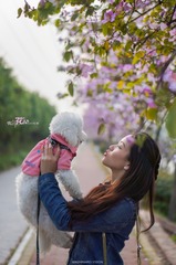 DSC04688-编辑_2