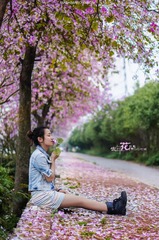 DSC04799-编辑_2