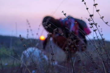 DSC04918_2