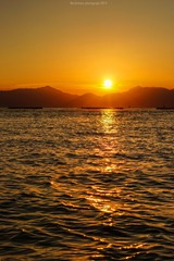 DSC06487_2