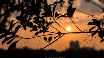 DSC08798_2