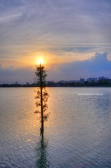DSC01800_1_2_tonemapped_2