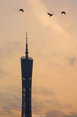 DSC01713_2