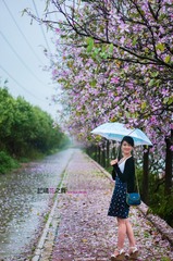 DSC05206_8