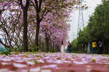 DSC04786-编辑_4