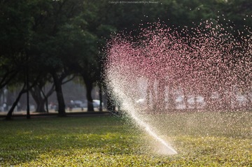 DSC09860_2