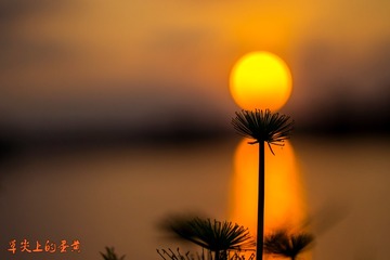dsc08934-1_2