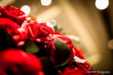 IMG_4616_