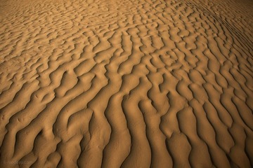 the desert