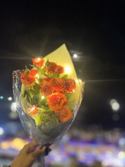 D8C1A48D-0267-4ED5-9A72-0D7445348AEE/L0/001