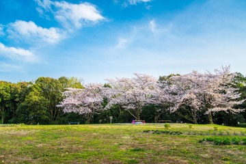 DSC_1847.jpg