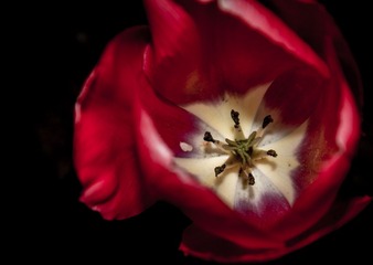 DSC_1974.jpg