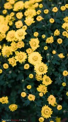 1891179