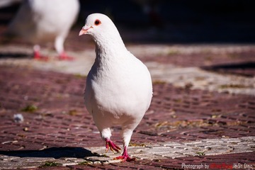 1891189