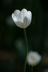 106113