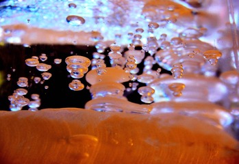 IMG00098-20110429-1052