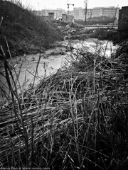 Phone2010_01