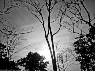 Phone2010_01-2