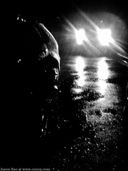 2010-03-08 21.03.32