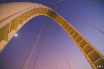 _LOS8810