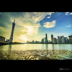 _LOS8729
