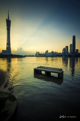 _LOS8774