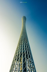 _LOS1631