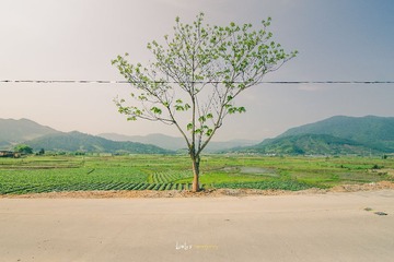 _LOS3410