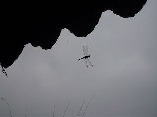 IMG_1662.JPG