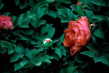 73BA95B9-599F-4D6D-AFBA-DCE9579DFD8F/L0/001