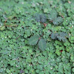 2013031414220889.jpg