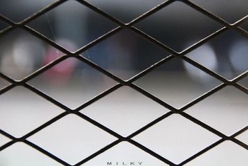 IMG_7105.jpg