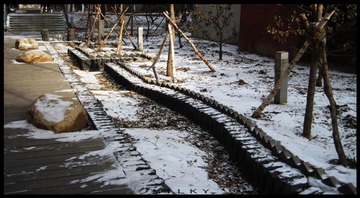 IMG_3446.jpg