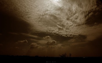 IMG_3071.jpg