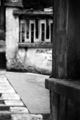 IMG_7883.jpg