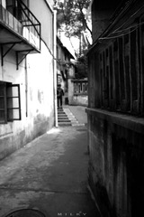 IMG_7882.jpg