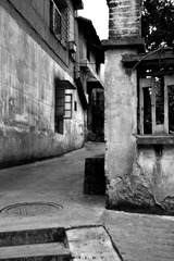 IMG_7884.jpg