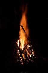IMG_9085.jpg
