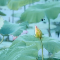 001