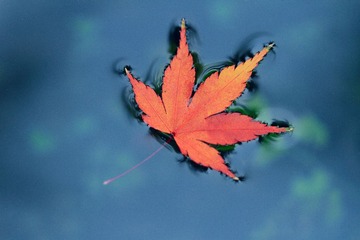 IMG_3068.jpg