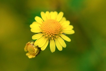 IMG_3111.jpg