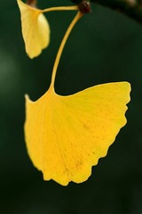 IMG_3148.jpg